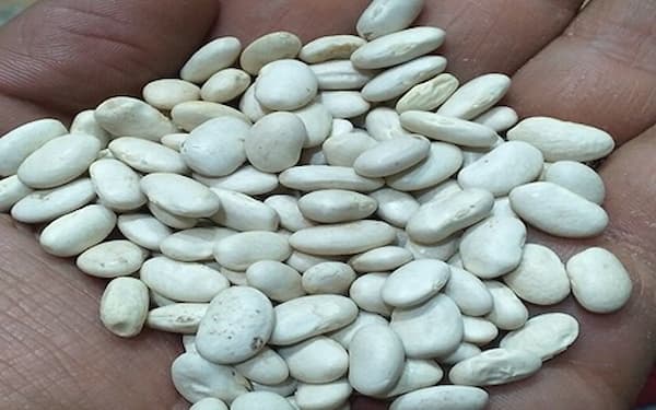 تصویر 5 از قیمت لوبیا سفید درشت + خرید باور نکردنی